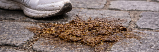 Déjection canine non ramassée sur un trottoir pavé du centre de Chaudes-Aigues