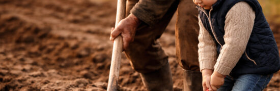 Grand-père et petit-enfant travaillant la terre ensemble dans une ferme de moyenne montagne du Cantal